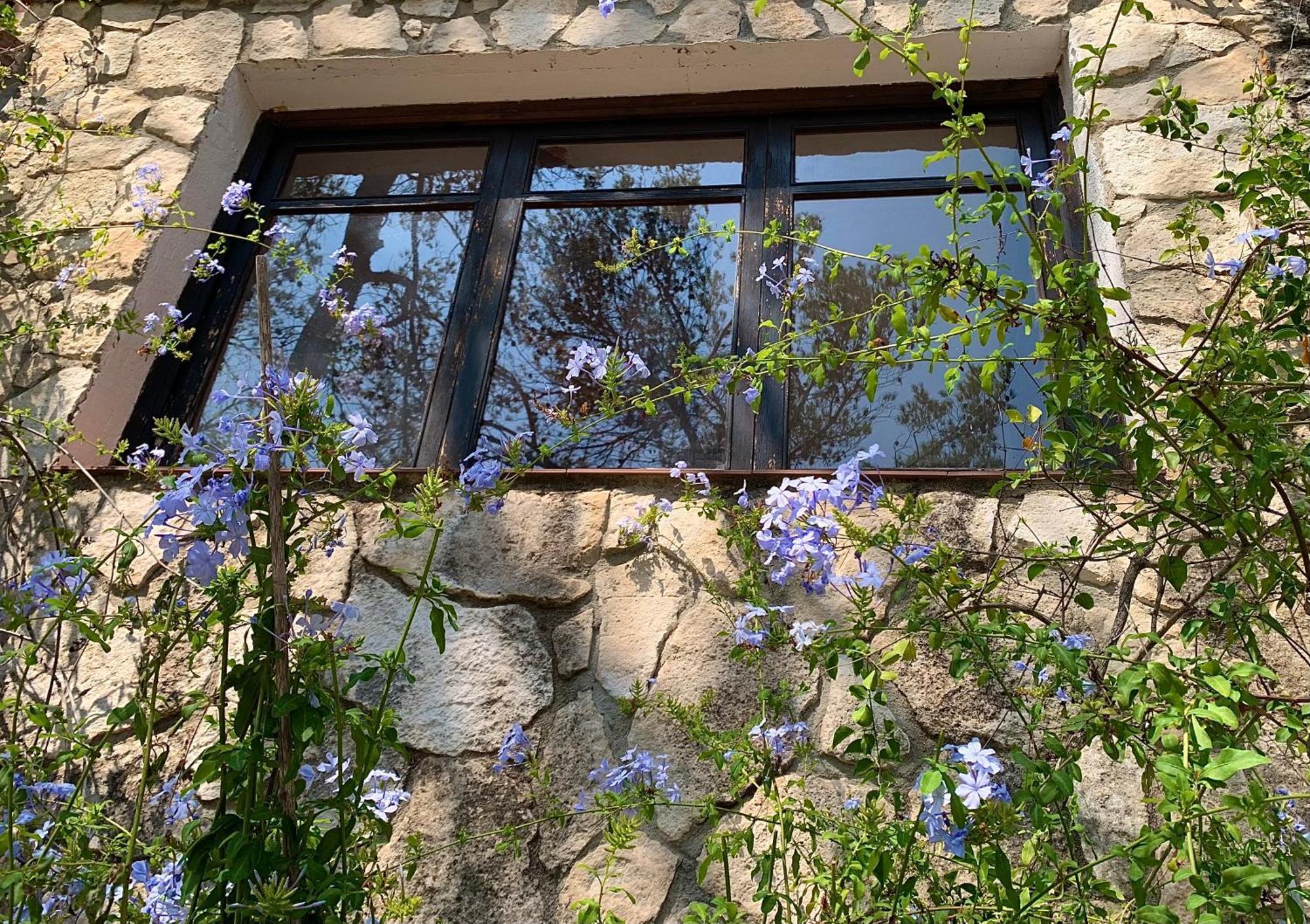 La Casita Del Bosque Lägenhet Sant Pere De Ribes Exteriör bild